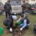 Кусты сортовой сирени были высажены во дворе дома 22 по Ленинскому проспекту 15 апреля, в рамках общегородской акции «Сирень Победы»