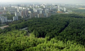 Вокруг Москвы создадут "Зеленый пояс" 