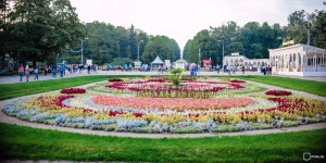 Робот Пушкин будет читать стихи жителям в парке "Сокольники" 