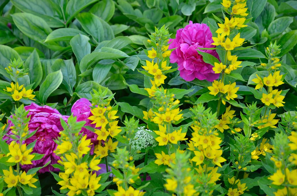 Студенты Колледжа РГУ имени Алексея Косыгина стали призерами дизайнерского конкурса. Фото: Анна Быкова, «Вечерняя Москва»