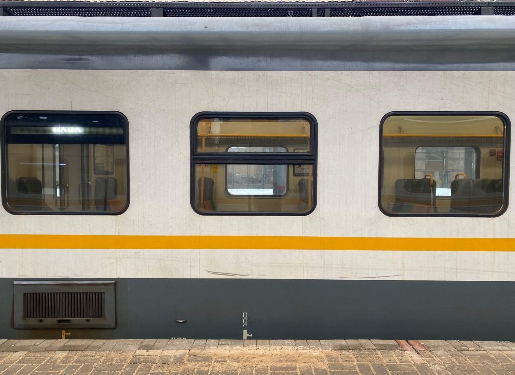 Фото: Анна Быкова, «Вечерняя Москва»