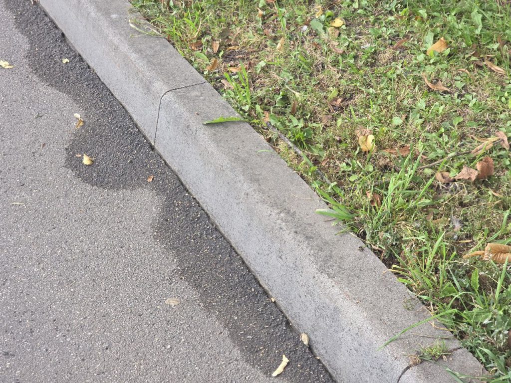 Фото: Алина Суровова