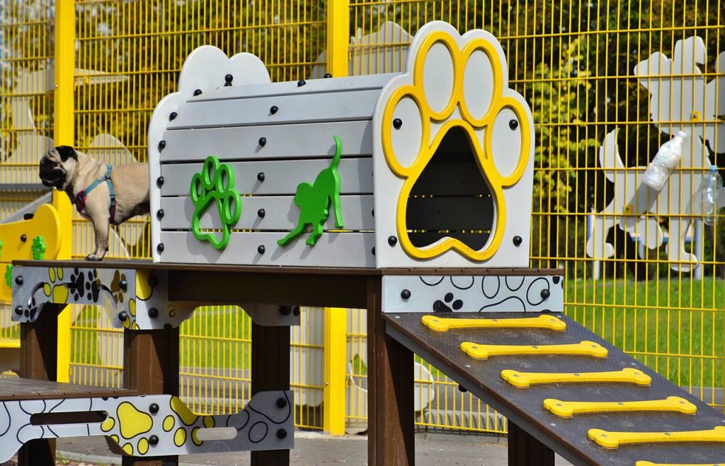 Площадку для выгула собак обустроили в Донском районе. Фото: Анна Быкова, «Вечерняя Москва»