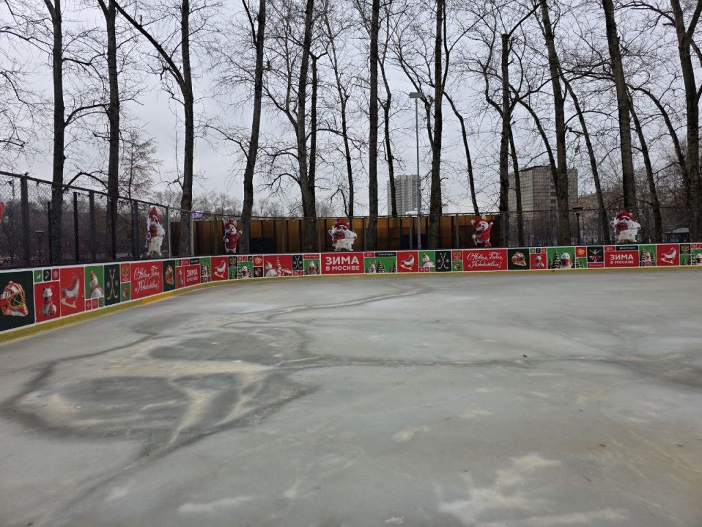 Фото: Алина Суровова