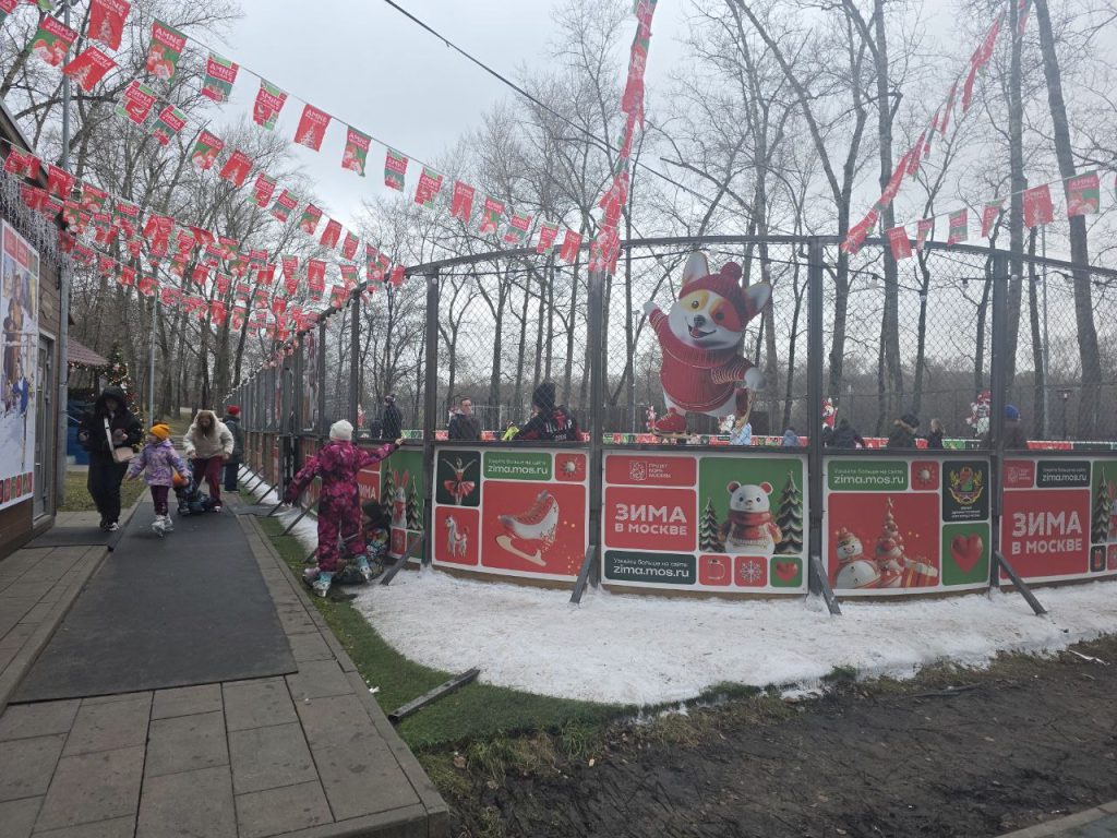 Фото: Алина Суровова