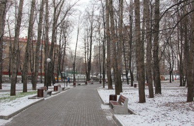 Акция пройдет в парке у пруда Бекет