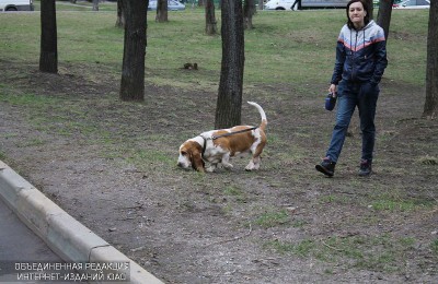 В районе проведут бесплатную вакцинацию домашних животных
