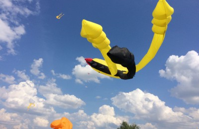 На фестивале были представлены воздушные змеи различных форм и размеров