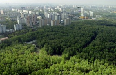 Вокруг Москвы создадут "Зеленый пояс"