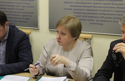 Депутат Екатерина Николаева