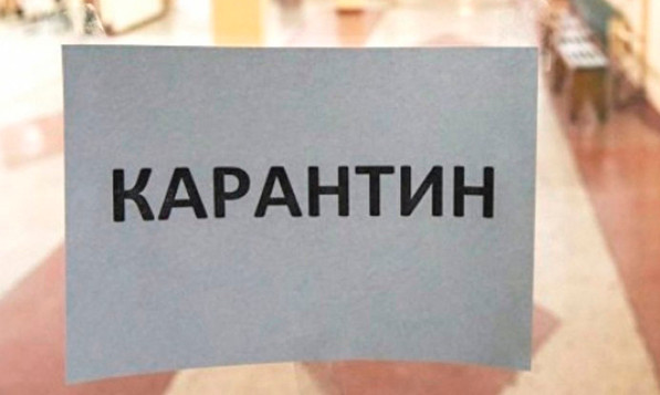 ЕдРо карантин 29.01.2019