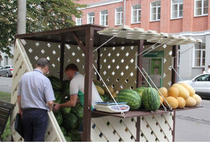 Жителей Донского района призвали покупать арбузы на официальных торговых точках