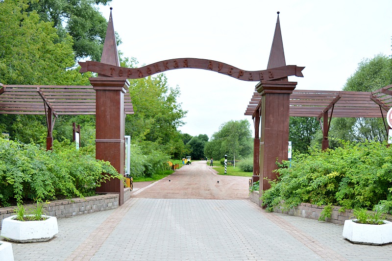 Терлецкая_дубрава, парк