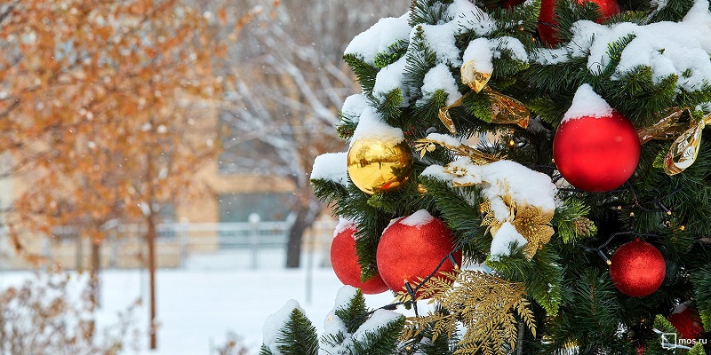 новогодняя-елка-снег-мос-ру