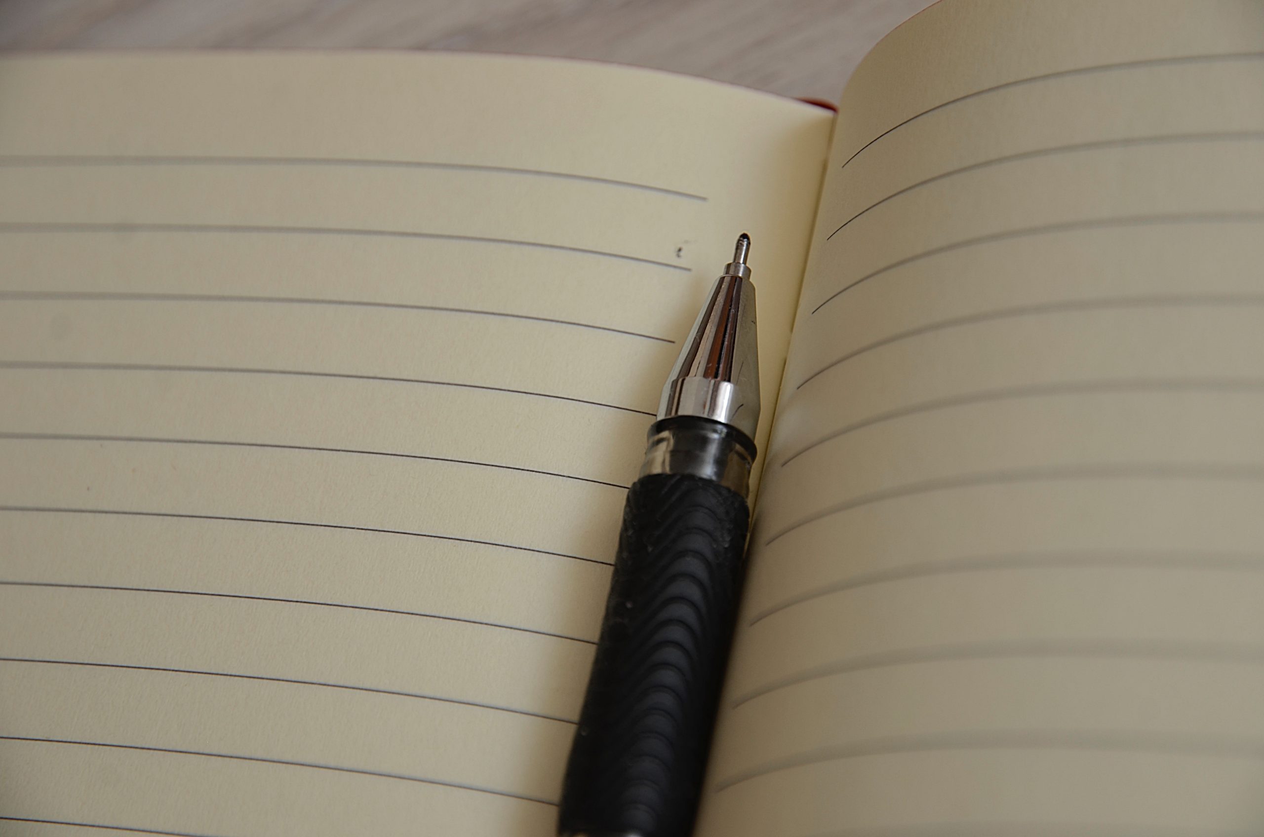 Фото: Анна Быкова, «Вечерняя Москва»