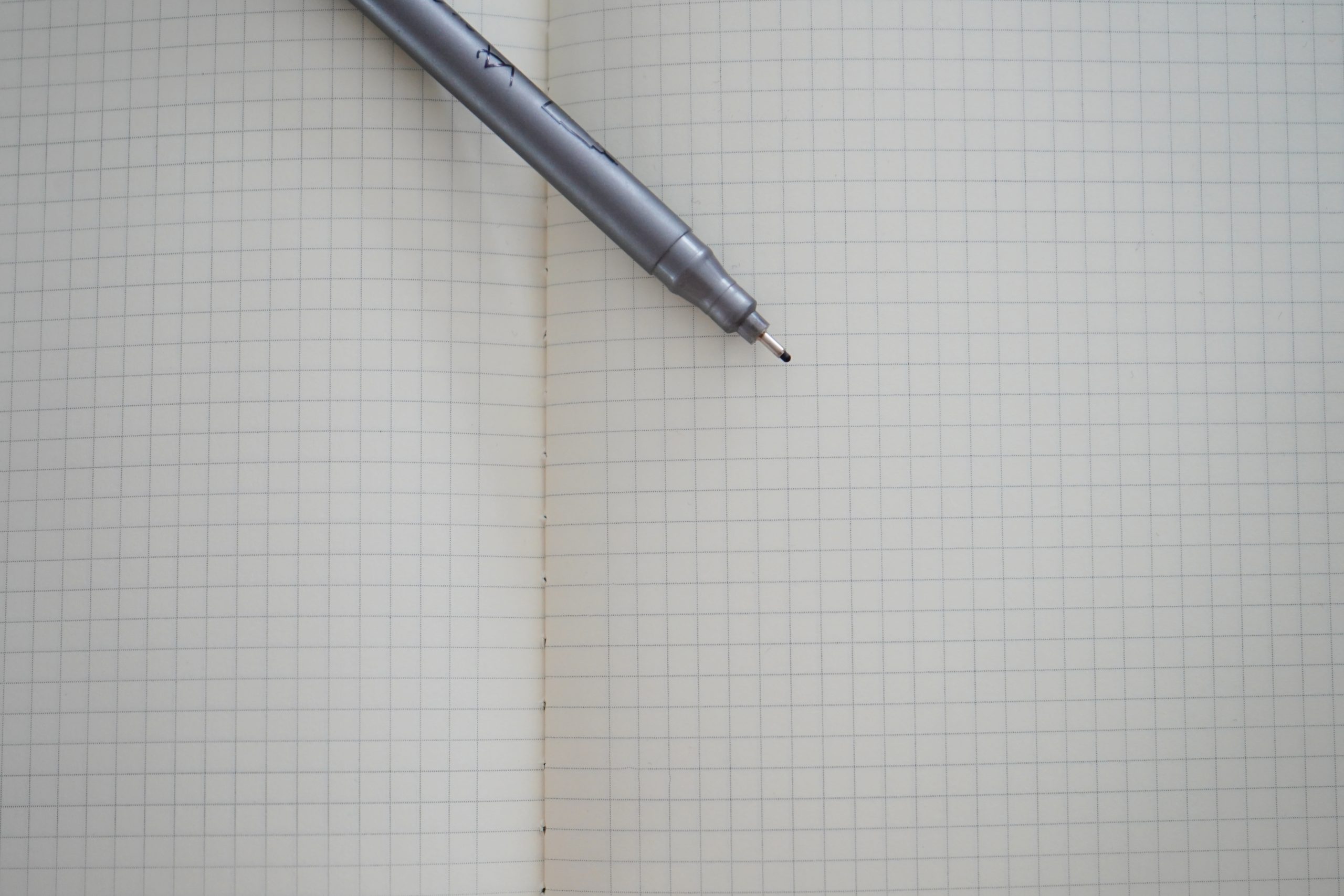 Фото: Анна Быкова, «Вечерняя Москва»