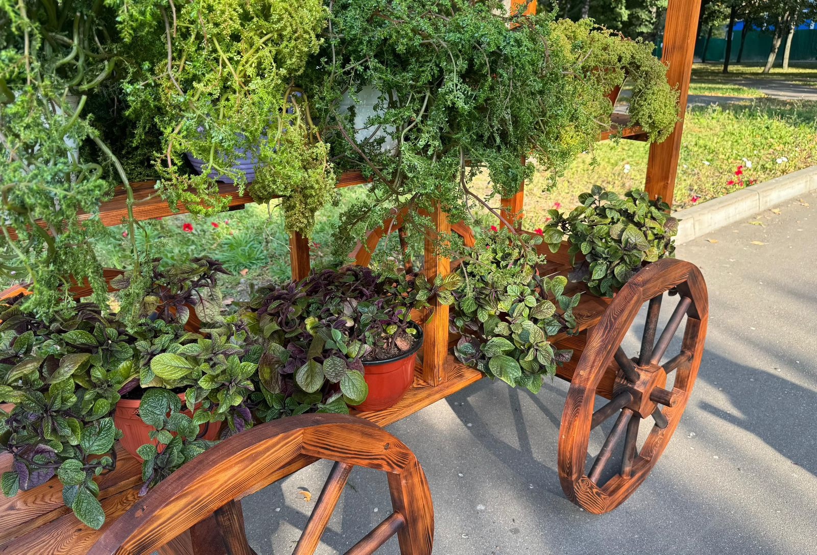 Фото: личная страница депутата Елены Фурсовой в социальных сетях