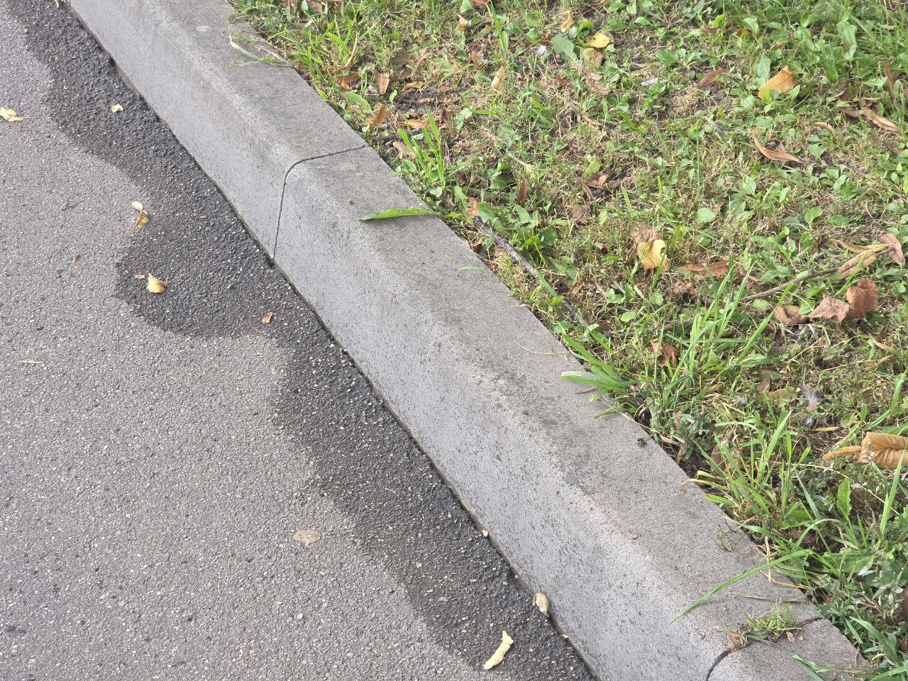 Фото: Алина Суровова