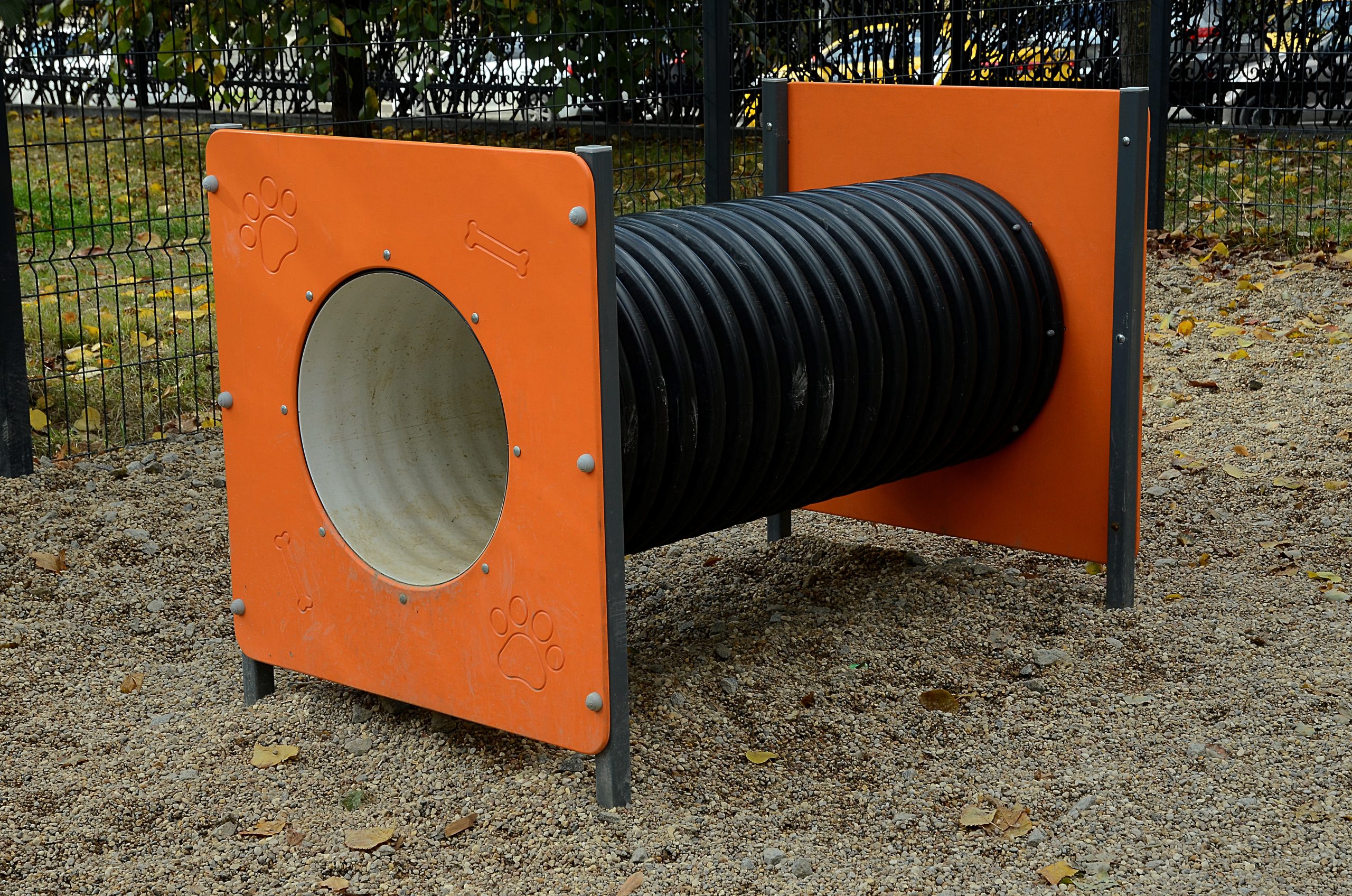 Фото: Анна Быкова, «Вечерняя Москва»