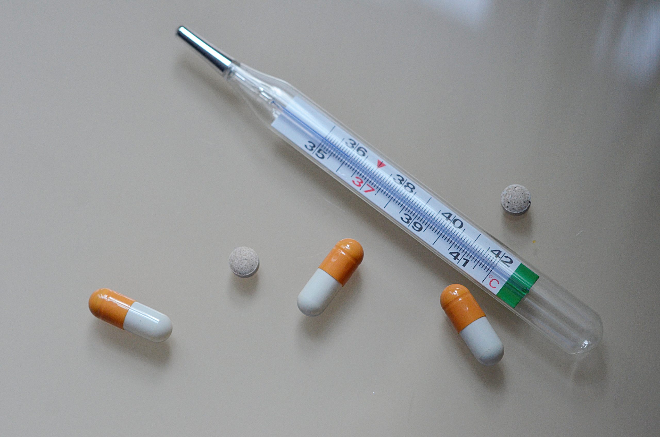 Волонтеры РГУ имени Алексея Косыгина организуют донорскую акцию. Фото: Анна Быкова, «Вечерняя Москва»