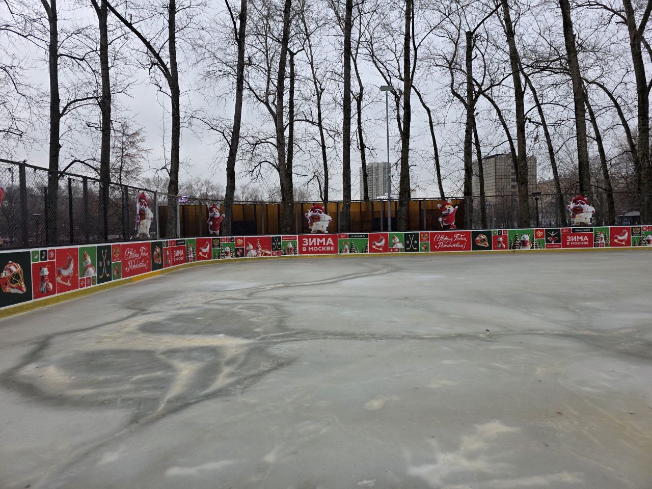 Фото: Алина Суровова