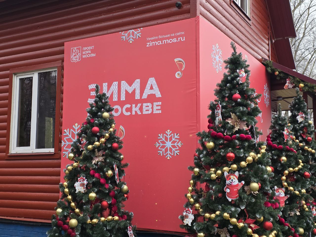 Фото: Алина Суровова