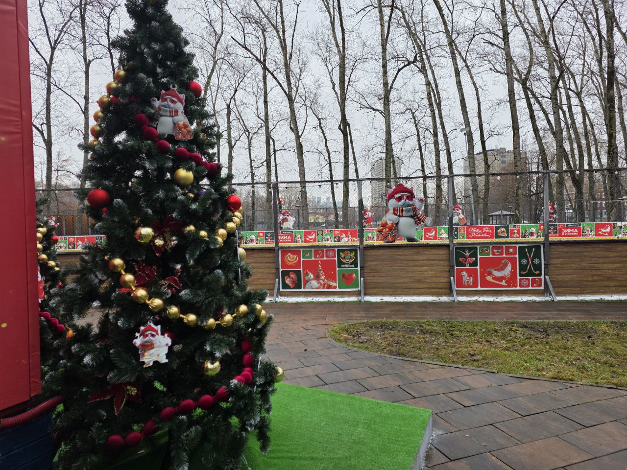 Фото: Алина Суровова