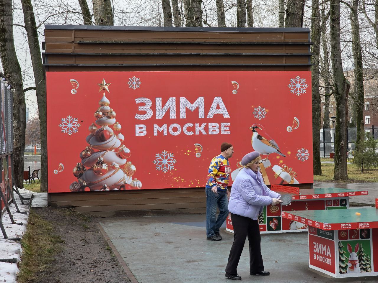 Фото: Алина Суровова