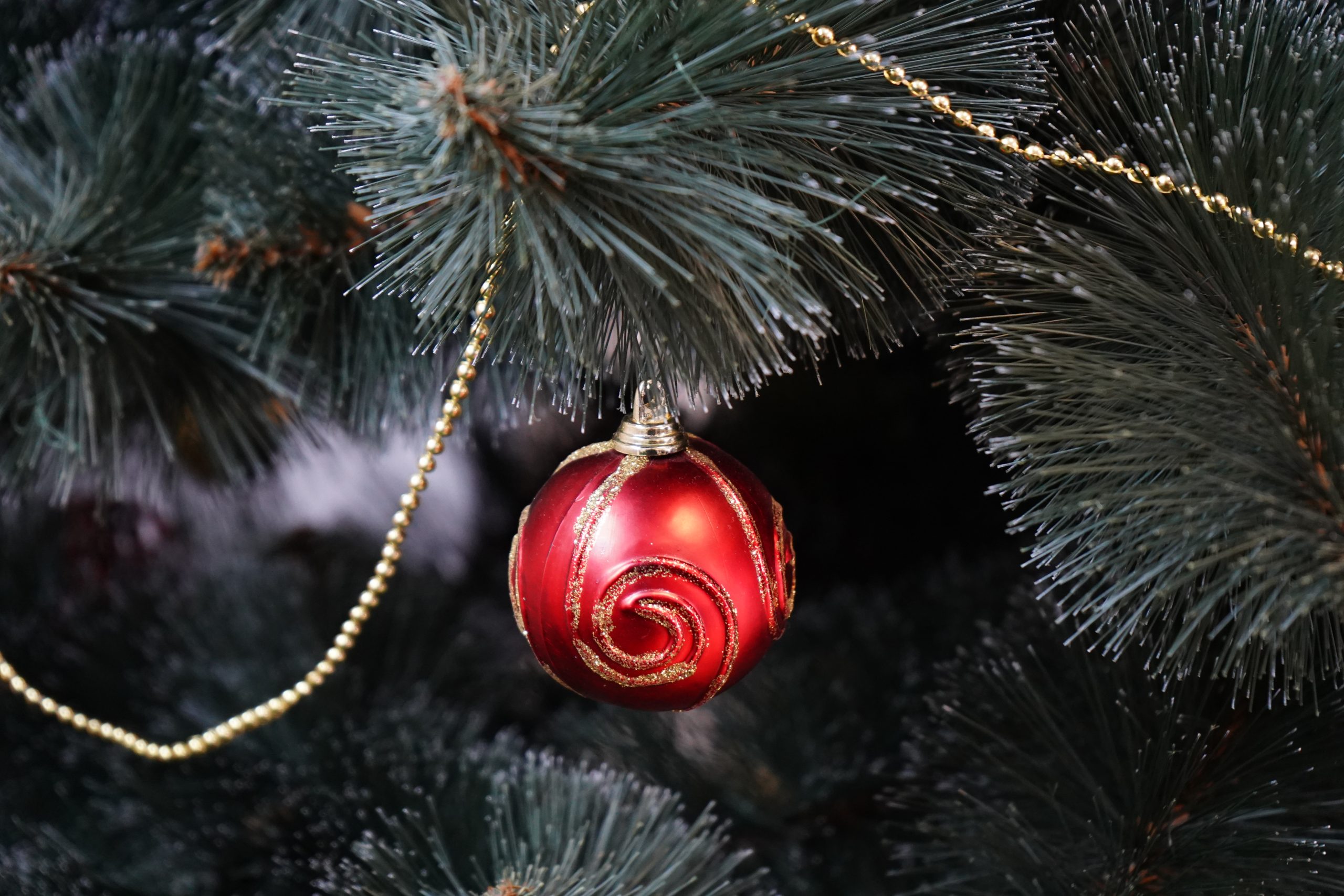 Музыкальный новогодний квест для детей пройдет в библиотеке №161. Фото: Анна Быкова, «Вечерняя Москва»