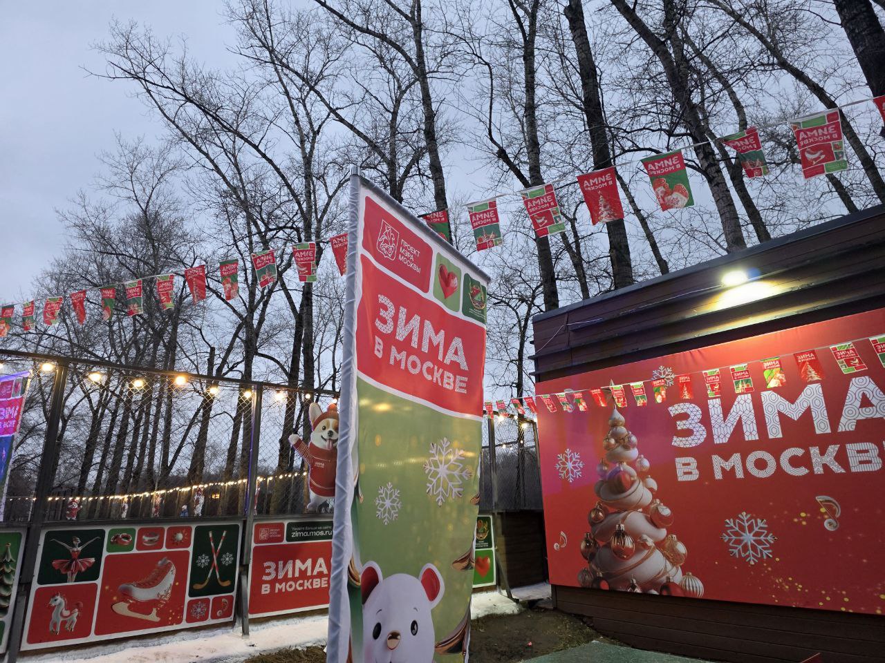 Фото: Алина Суровова