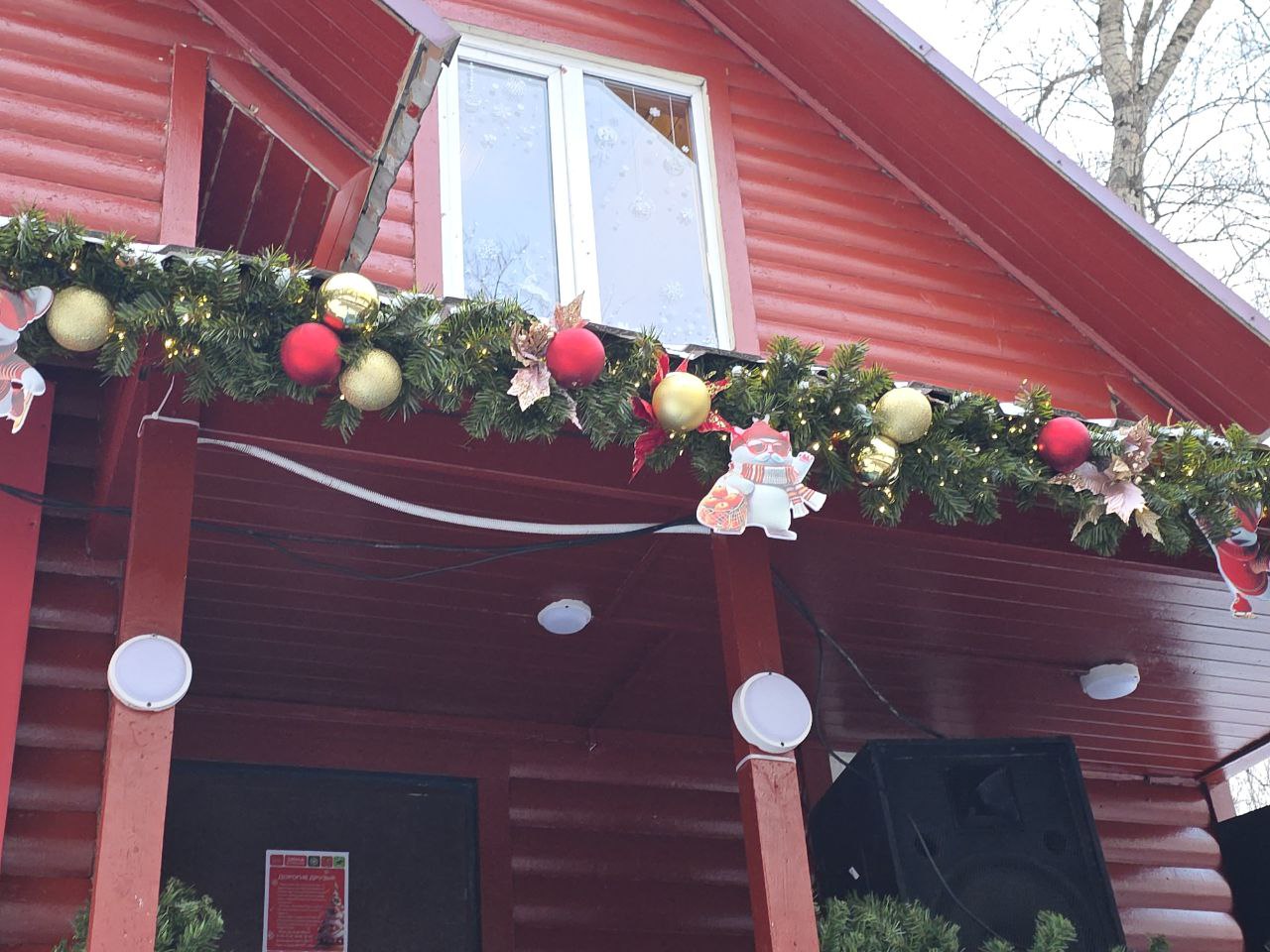 Фото: Алина Суровова