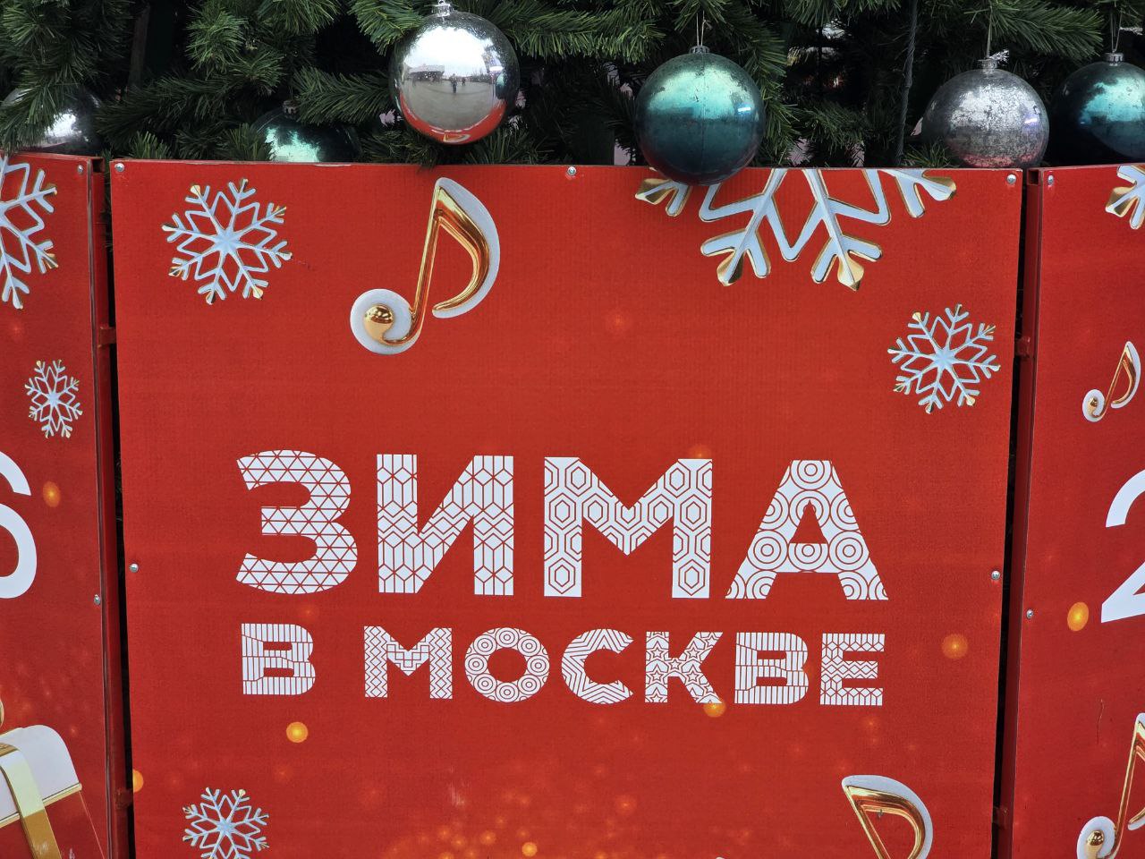 Фото: Алина Суровова