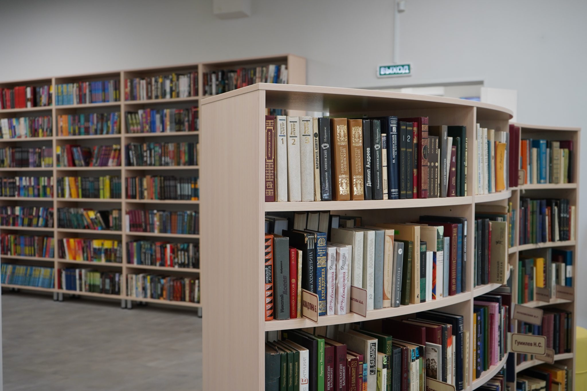 Сотрудники библиотеки №164 «Просвещение трудящихся» анонсировали встречу с писателями хоррор-жанра. Фото: Анна Быкова, «Вечерняя Москва»