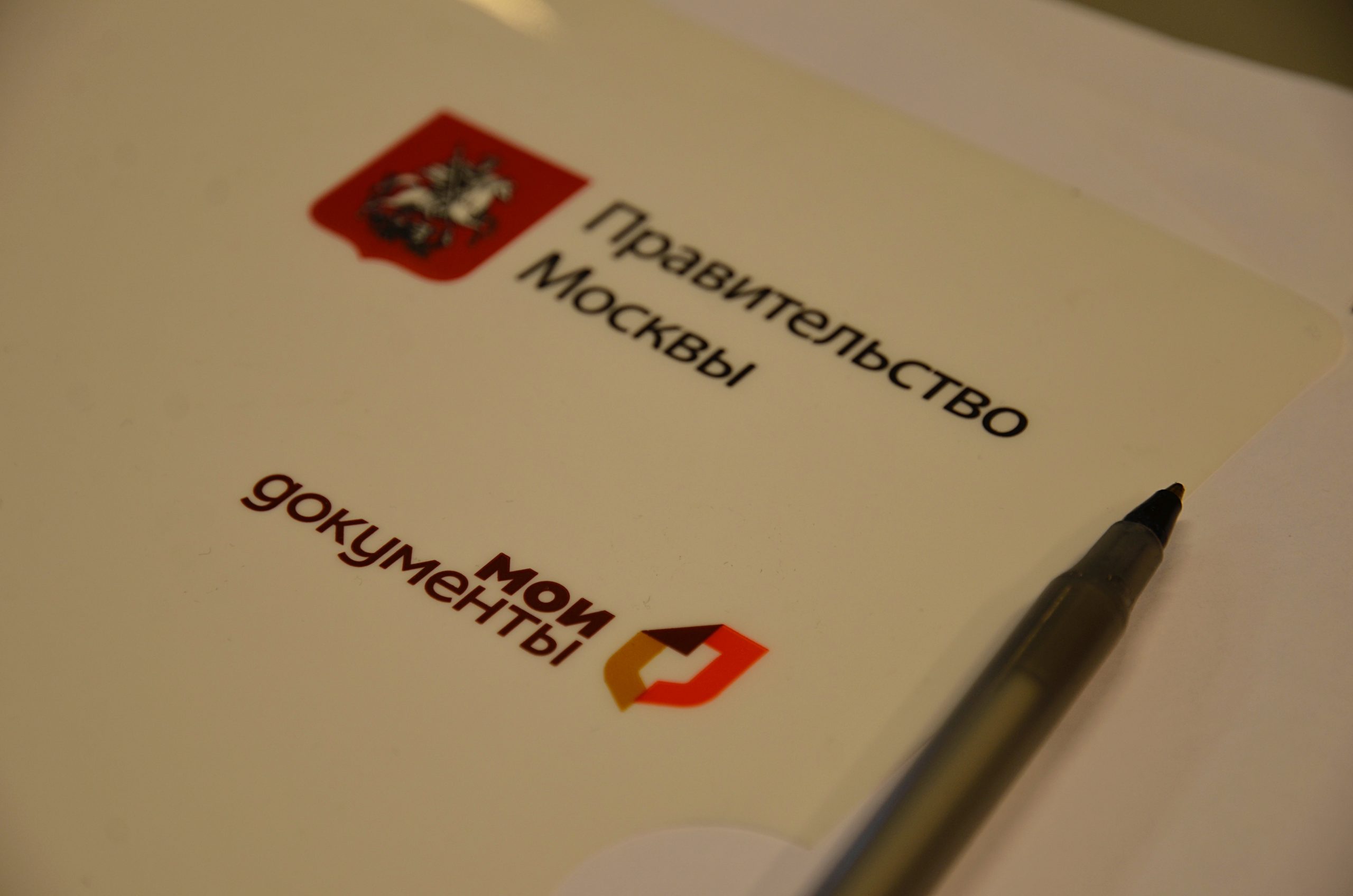 Фото: Анна Быкова, «Вечерняя Москва»