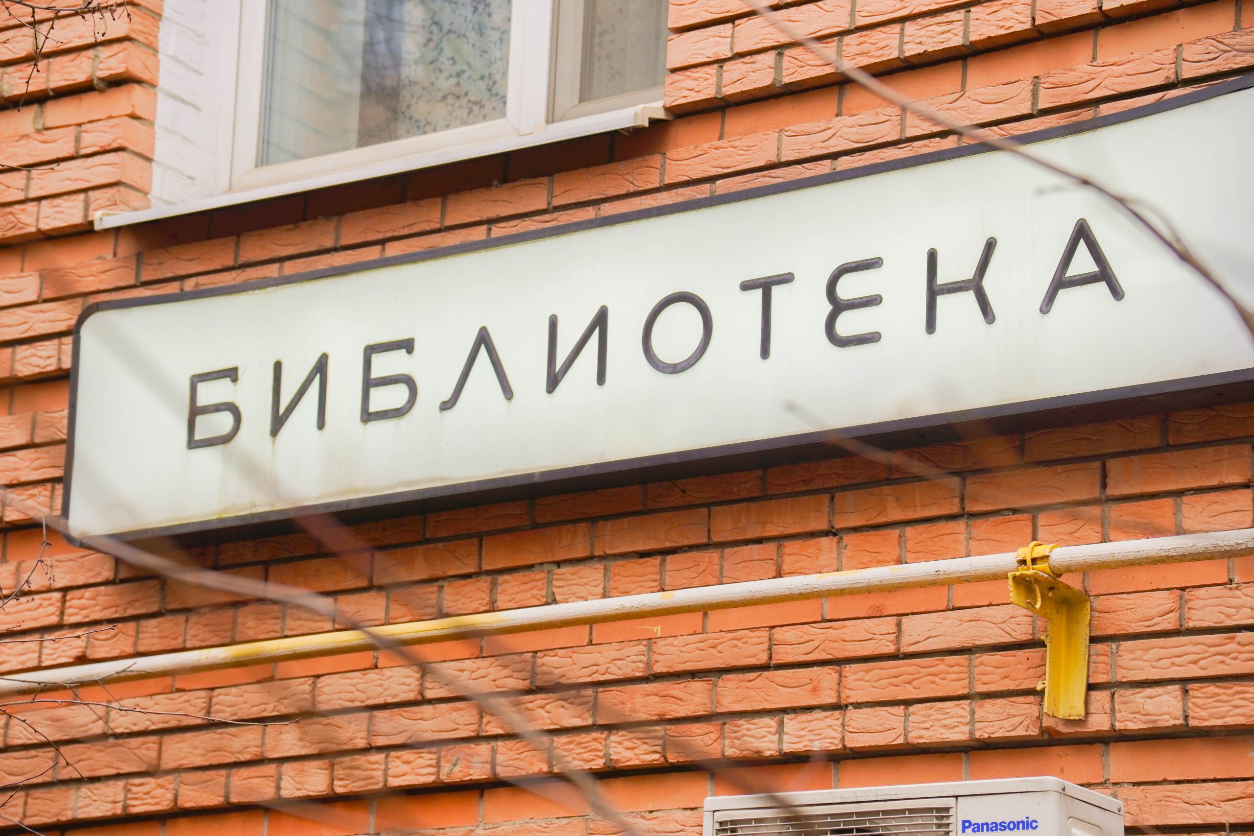 Фото: Ксения Догонашева, «Вечерняя Москва»
